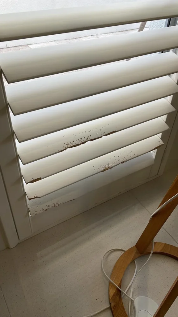 Close-up of white plantation shutter louvres