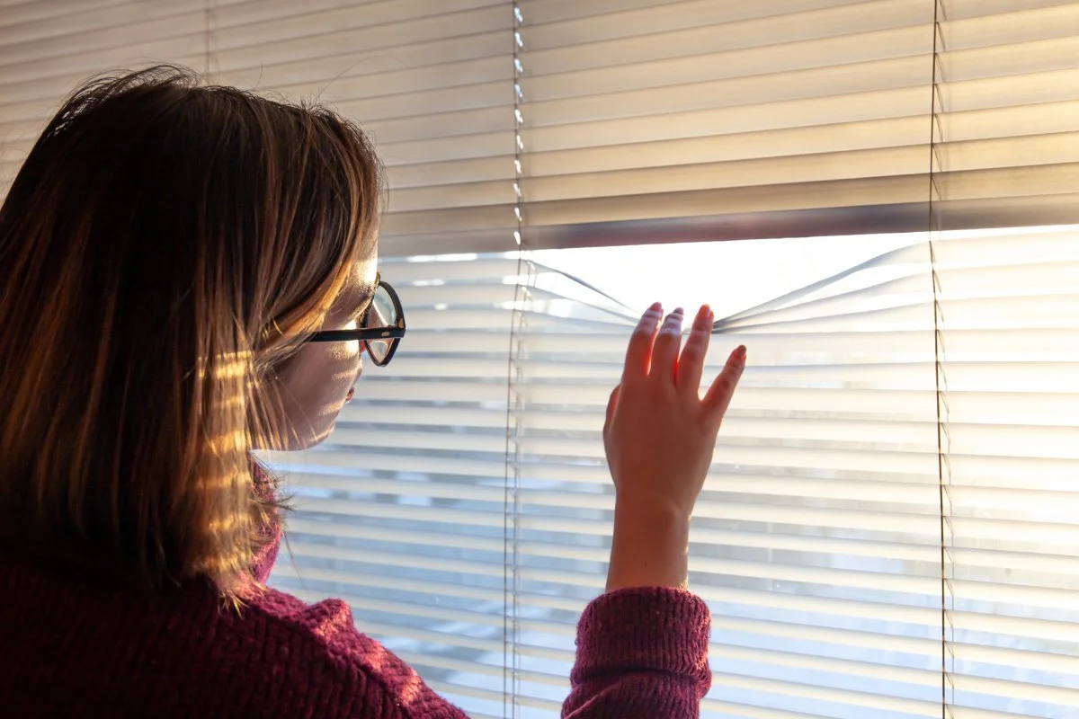 What is the best window covering? Advantages and disadvantages: Plantation shutters vs blinds vs curtains