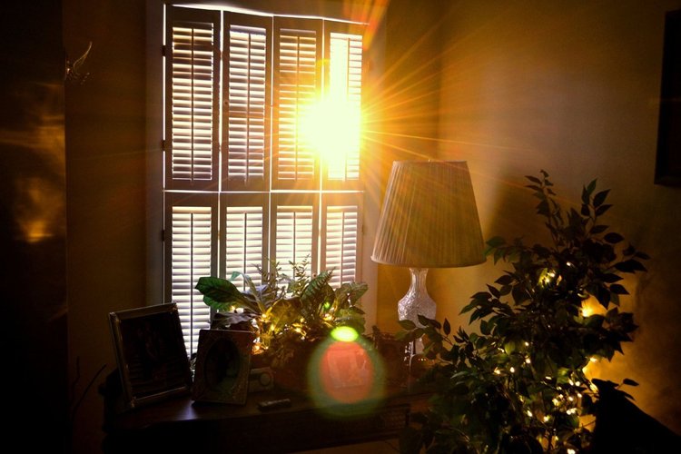 Early morning light through shutters