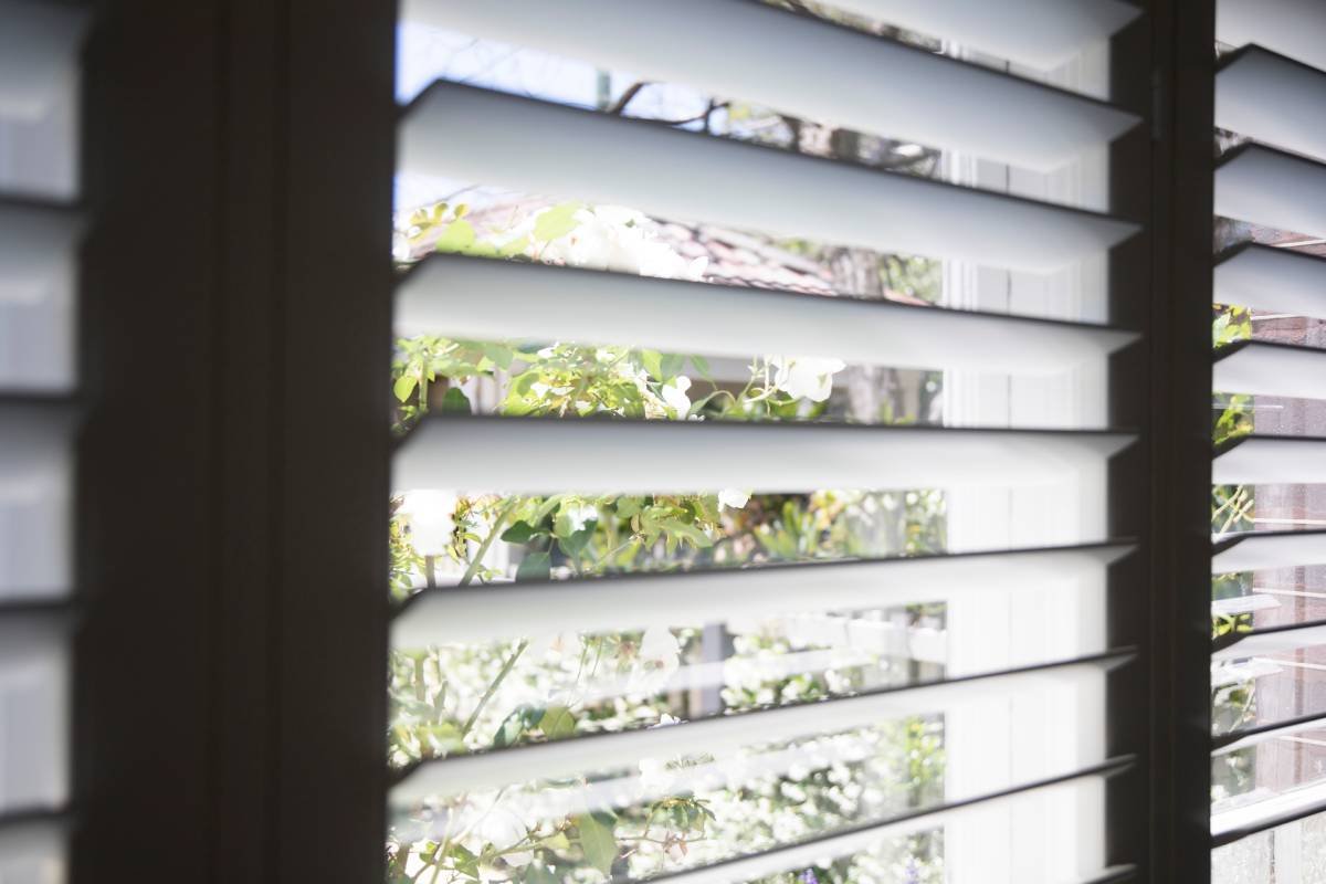 Close view of white plantation shutter louvres